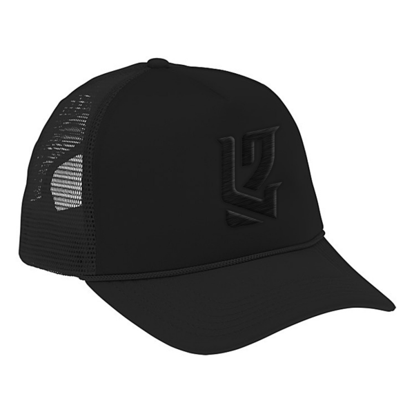 DL2 Embroidered Black Snapback Hat